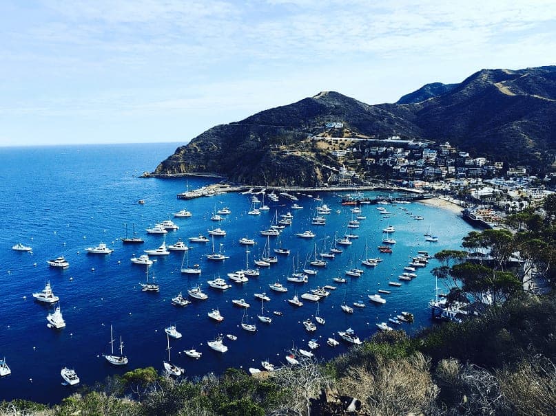 Avalon Harbor on Catalina Island with moored yachts and the casino building