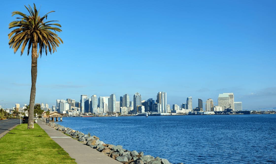 Sailboats and yachts moored at Harbor Island marina in San Diego Bay with the downtown skyline behind